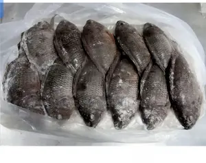 Fresh Tilapia
