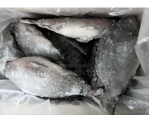 Fresh Tilapia