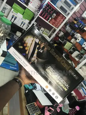 Professional Condenser Microphone