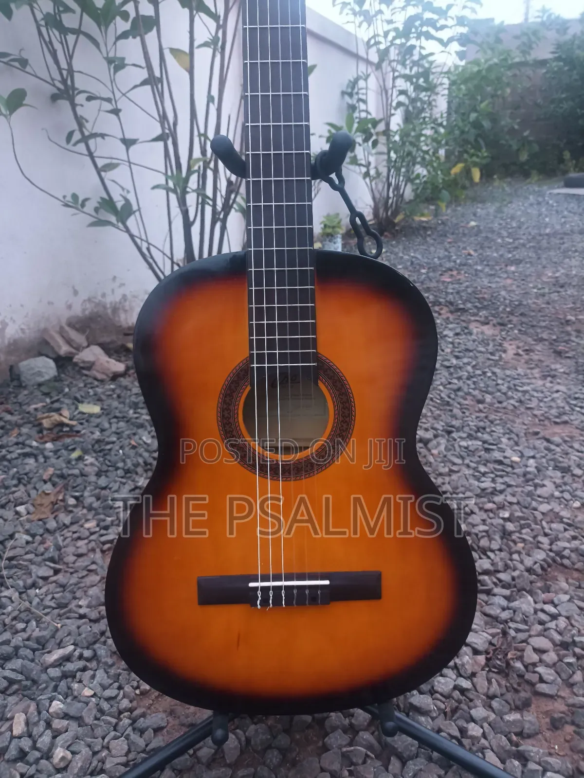 Eko Est. 1959 Cs 10 Sunburst Classical Guitar