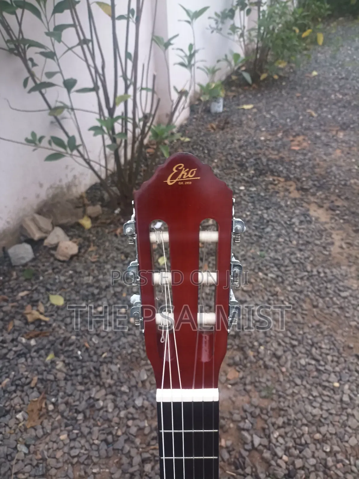 Eko Est. 1959 Cs 10 Sunburst Classical Guitar