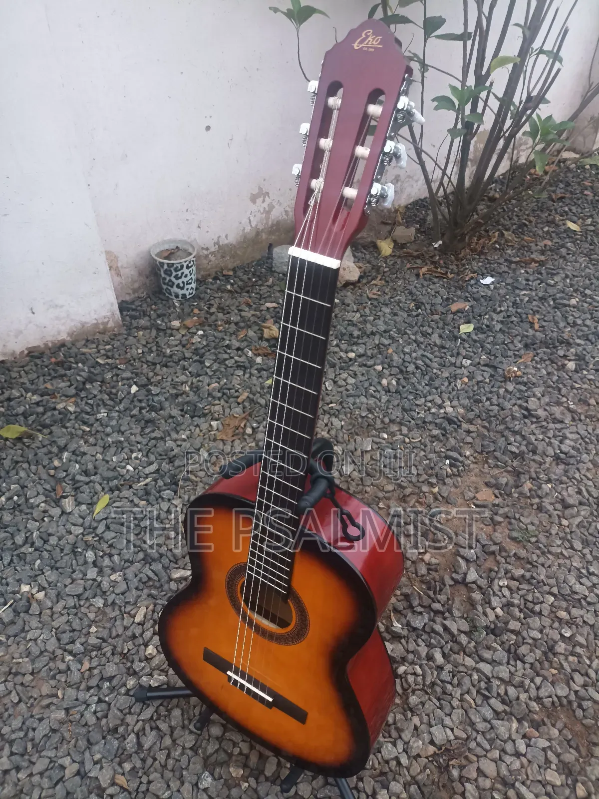 Eko Est. 1959 Cs 10 Sunburst Classical Guitar