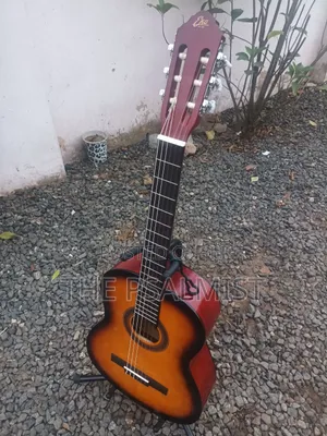 Eko Est. 1959 Cs 10 Sunburst Classical Guitar