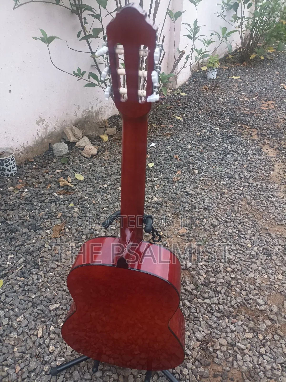 Eko Est. 1959 Cs 10 Sunburst Classical Guitar