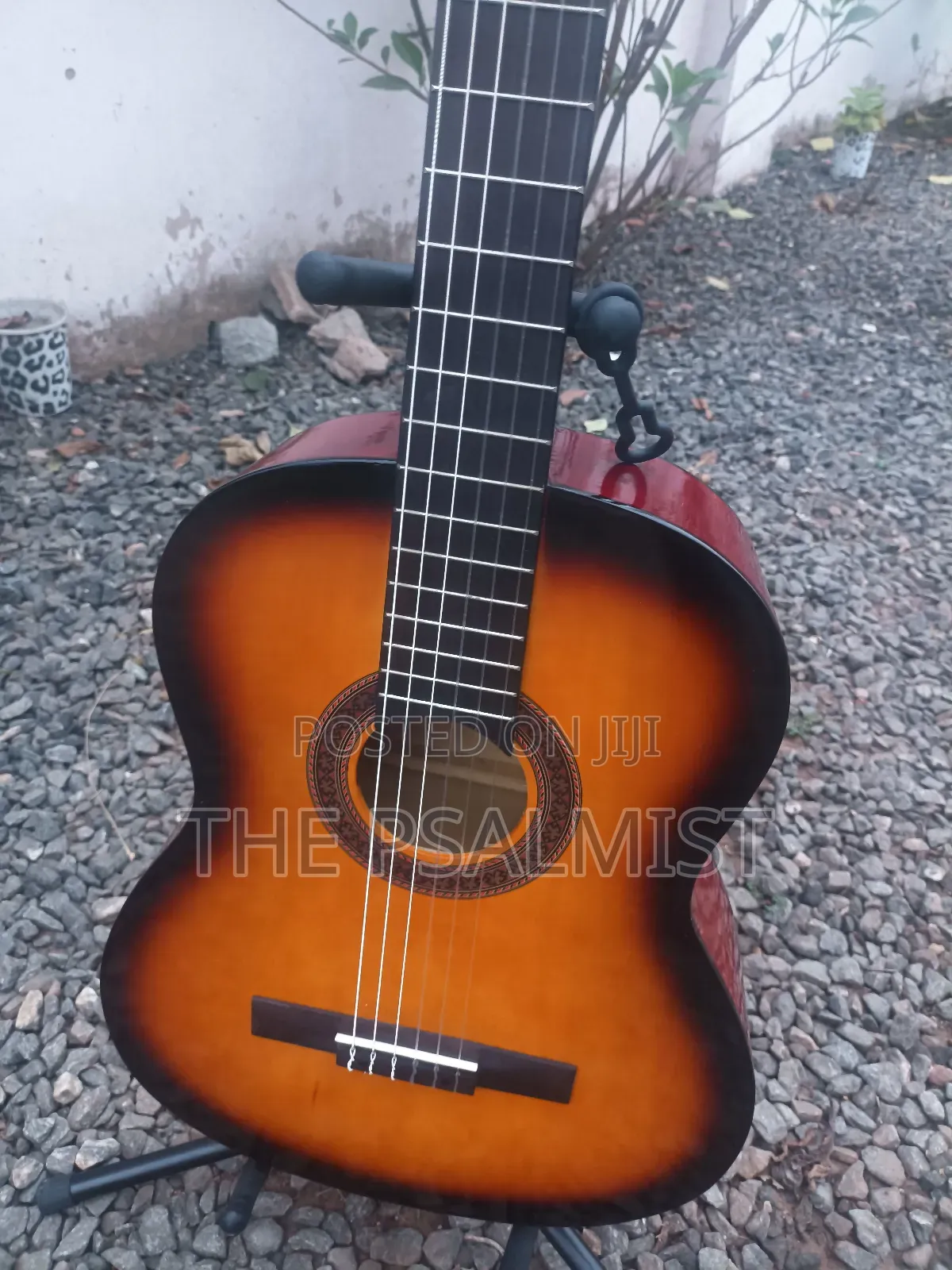 Eko Est. 1959 Cs 10 Sunburst Classical Guitar