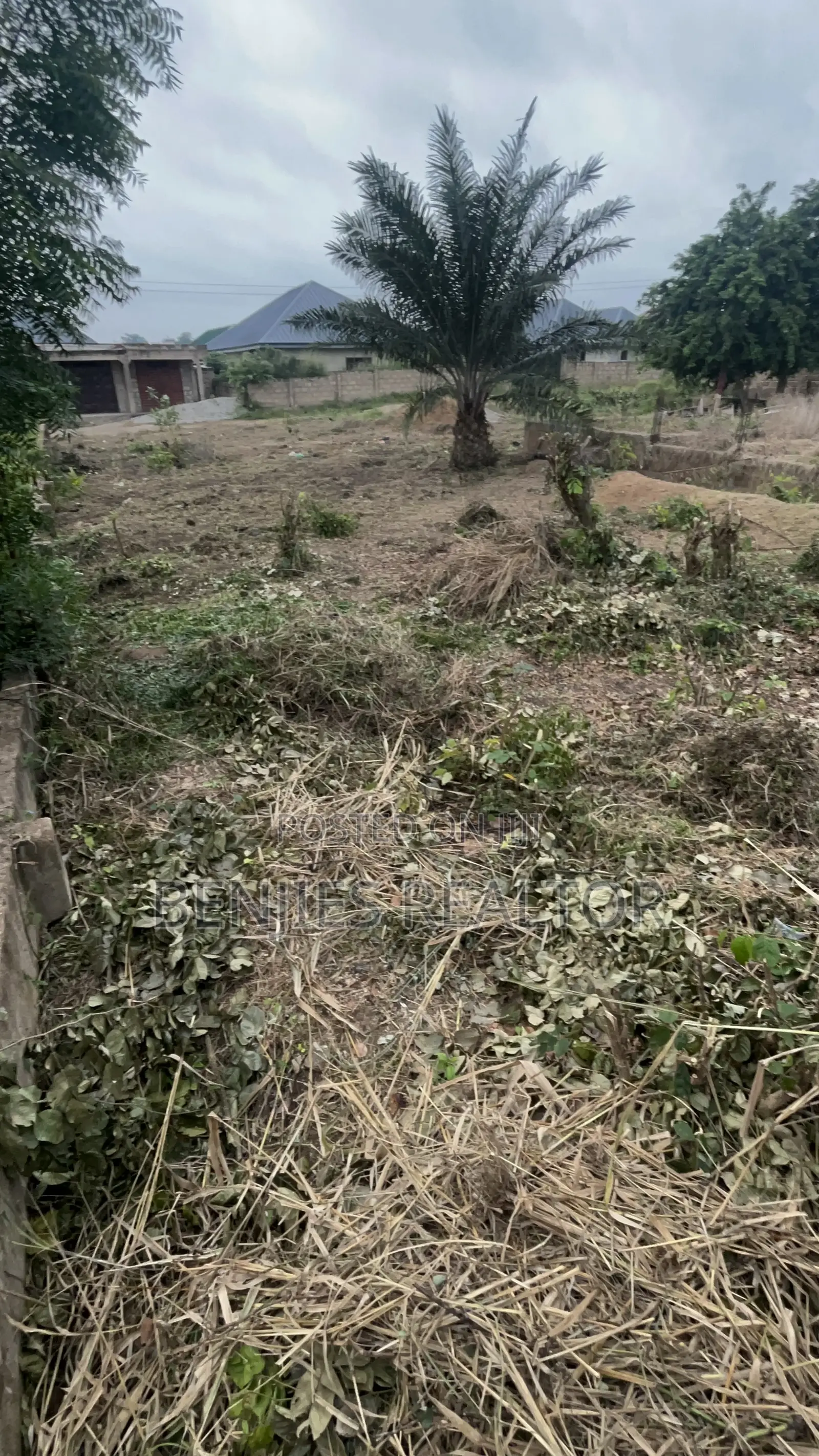 Full Plot at Alico City