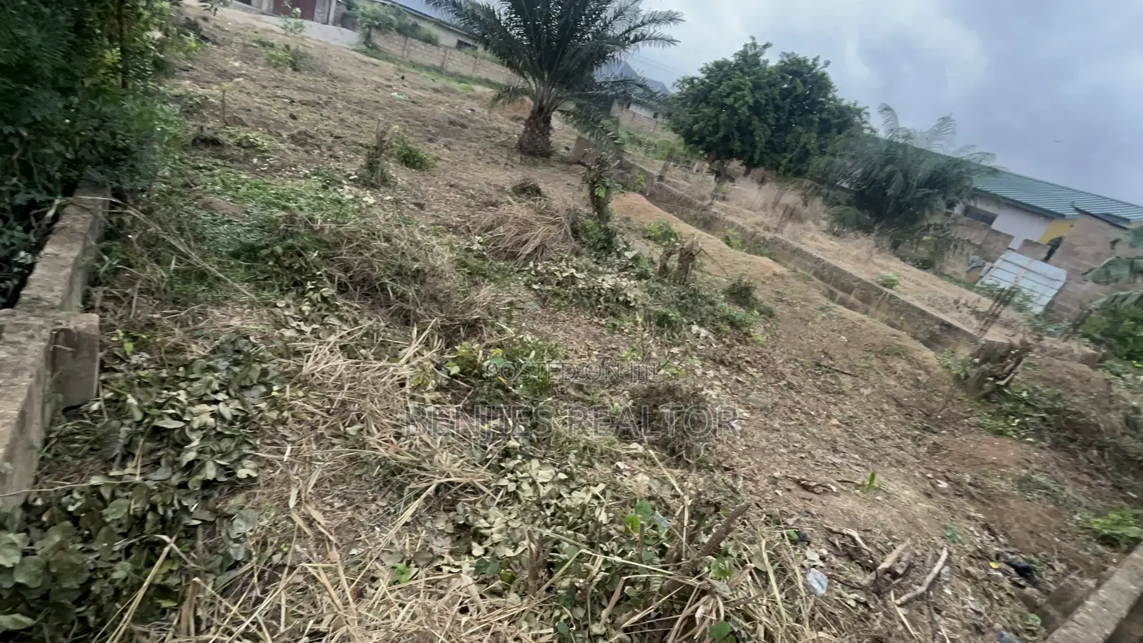 Full Plot at Alico City