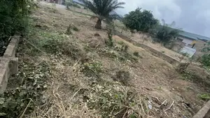 Full Plot at Alico City