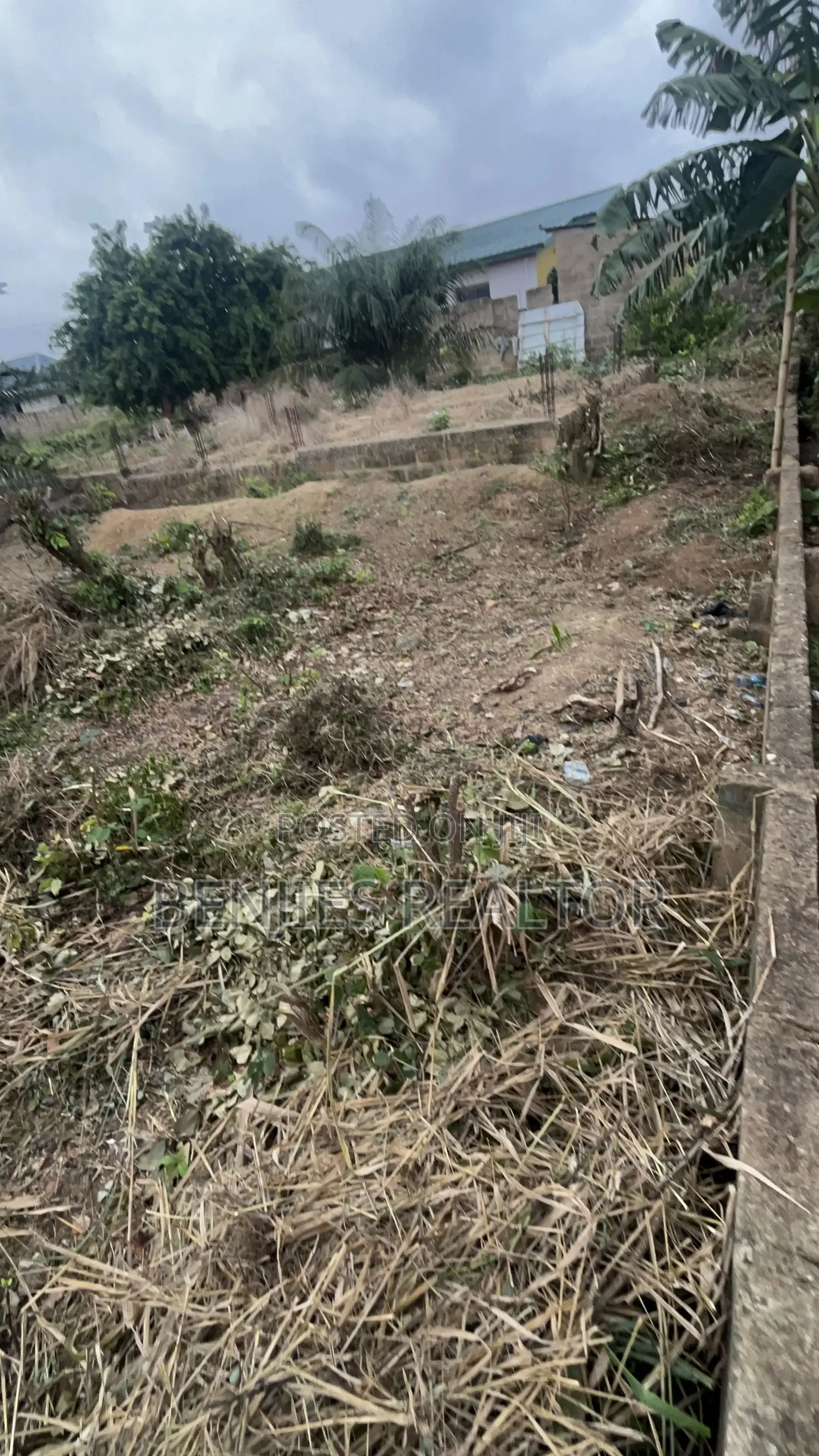Full Plot at Alico City