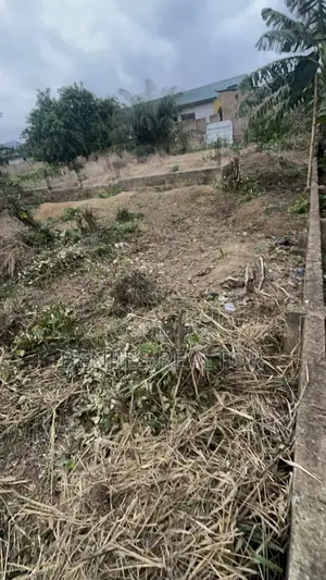 Full Plot at Alico City