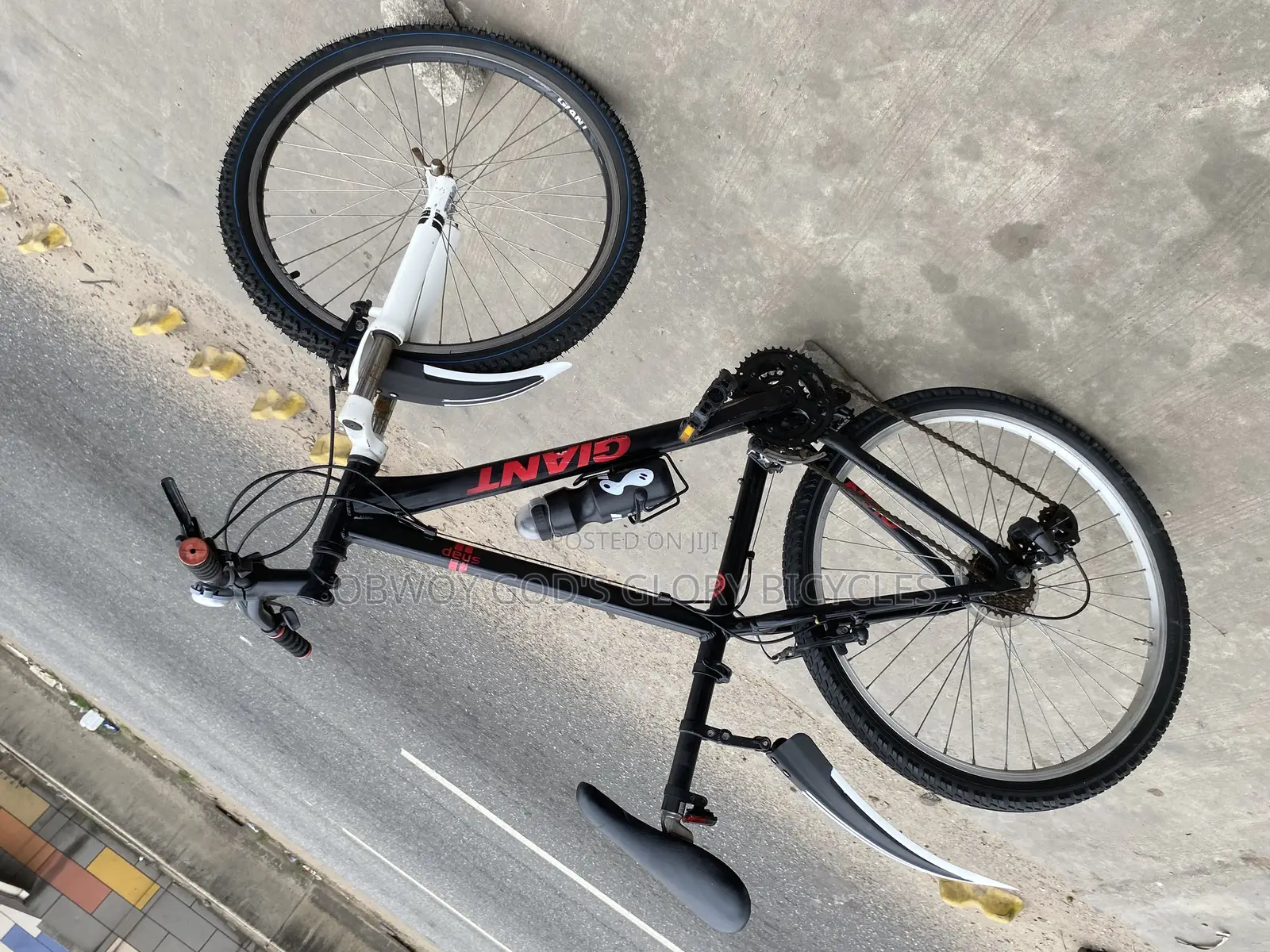 Sporty Mountain