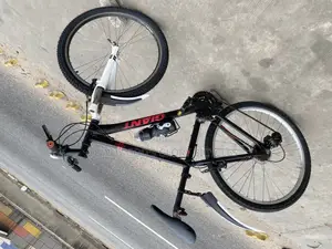 Sporty Mountain