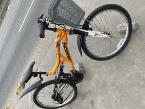 24 Inches Orange Spring Bike
