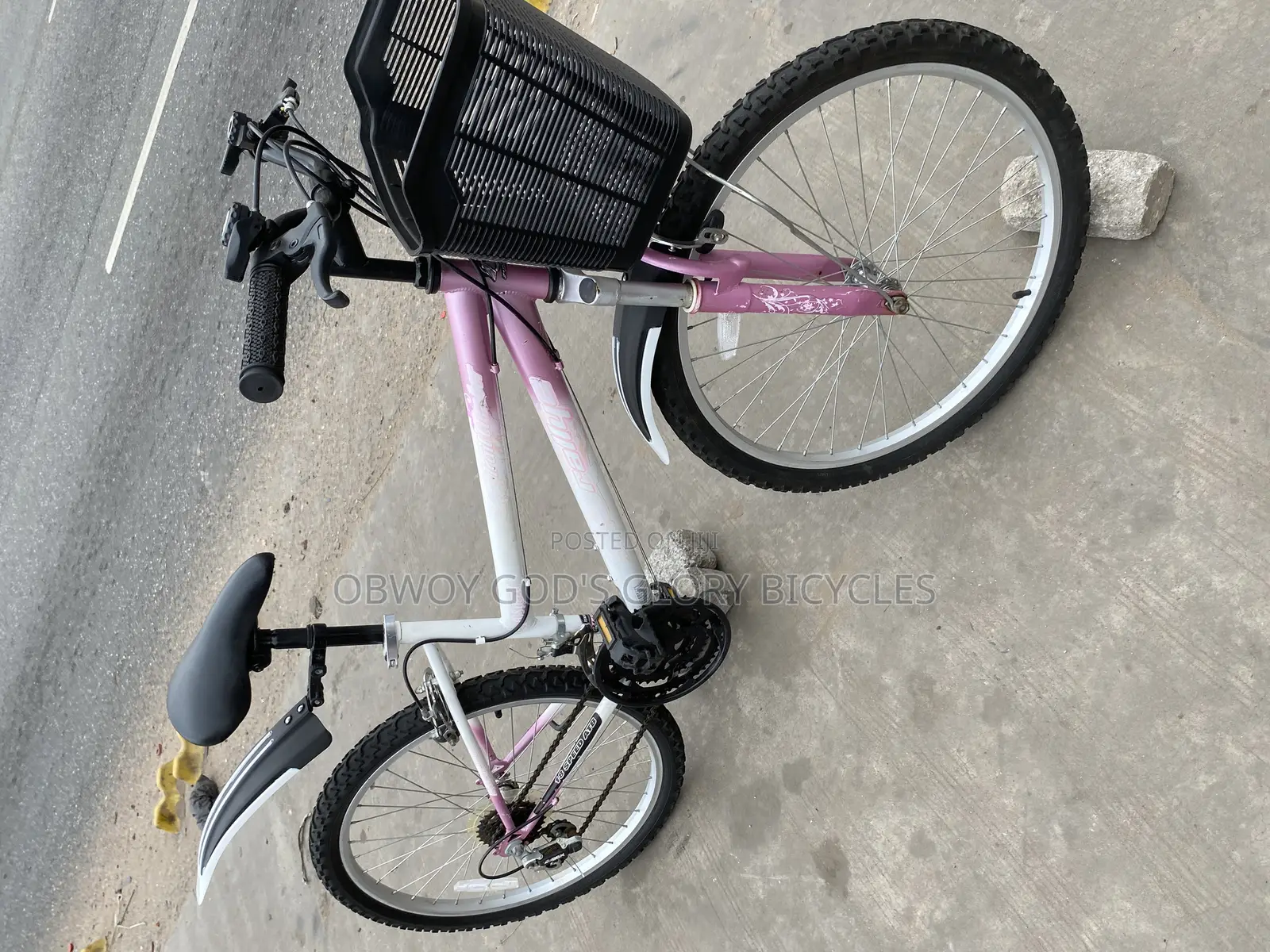 Ladies Type Mountain Bike