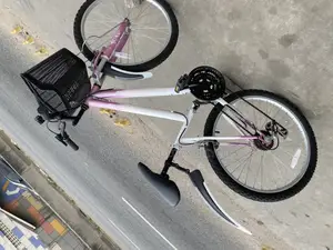 Ladies Type Mountain Bike