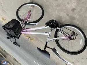 Ladies Type Mountain Bike