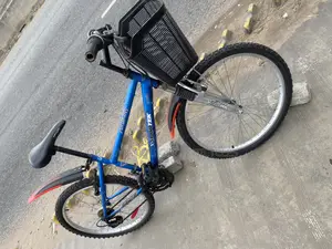 Type 2 Ladies Bike 24