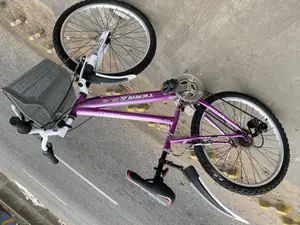 Purple Ladies Bike 24 Inches