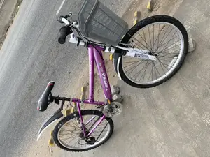 Purple Ladies Bike 24 Inches