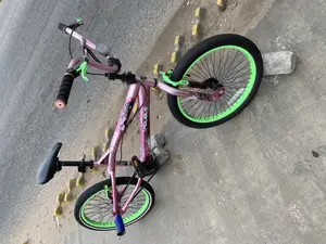 Purple Perfect BMX