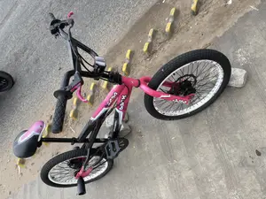 Disc BMX Bike