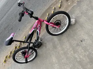 Disc BMX Bike
