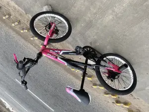 Disc BMX Bike