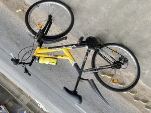 The Yellow Bike