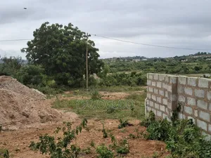 Fast Selling Land at the Moment Akotsi