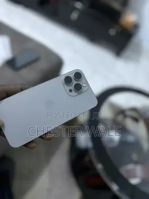 Apple iPhone 15 Pro Max 256 GB Gray