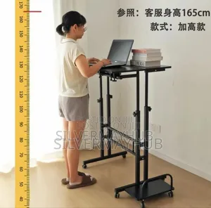 Sit And Stand Adjustable Desk