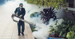 Smoke Fumigation