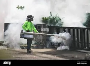 Smoke Fumigation