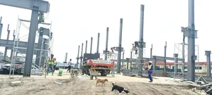 Steel Structures