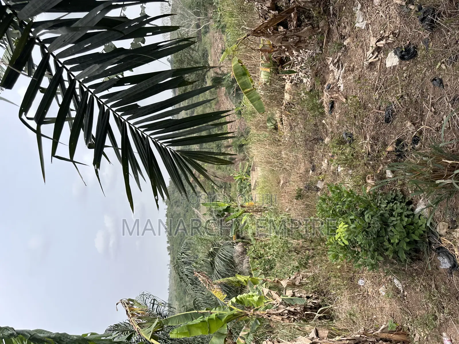Medea Samsam 2 Plot of Land for Sale