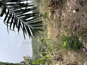 Medea Samsam 2 Plot of Land for Sale