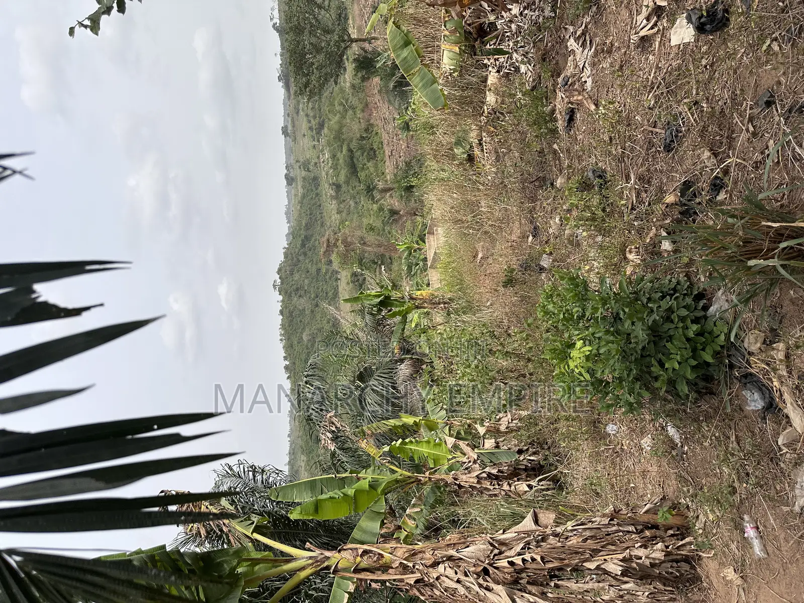 Medea Samsam 2 Plot of Land for Sale
