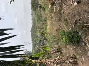 Medea Samsam 2 Plot of Land for Sale