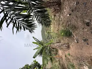 Medea Samsam 2 Plot of Land for Sale