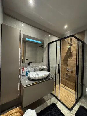 Furnished 1bdrm Apartment in Cantonments for rent