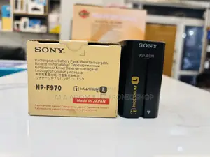 Sony Np Lithium F970 Camera Battery