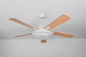 Fan Light With Remote Control