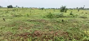 Land for Sale Kasoa