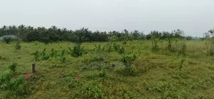 Land for Sale Kasoa