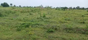 Land for Sale Kasoa