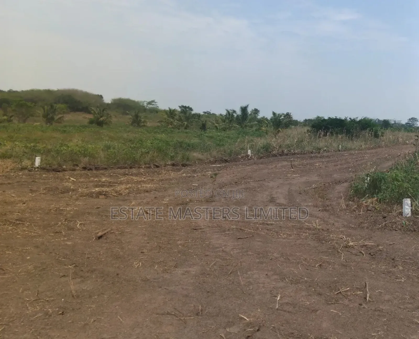 Invest Smartly, Buy Estate Land Now, Reap Later, Panfokrom