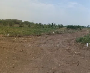 Invest Smartly, Buy Estate Land Now, Reap Later, Panfokrom