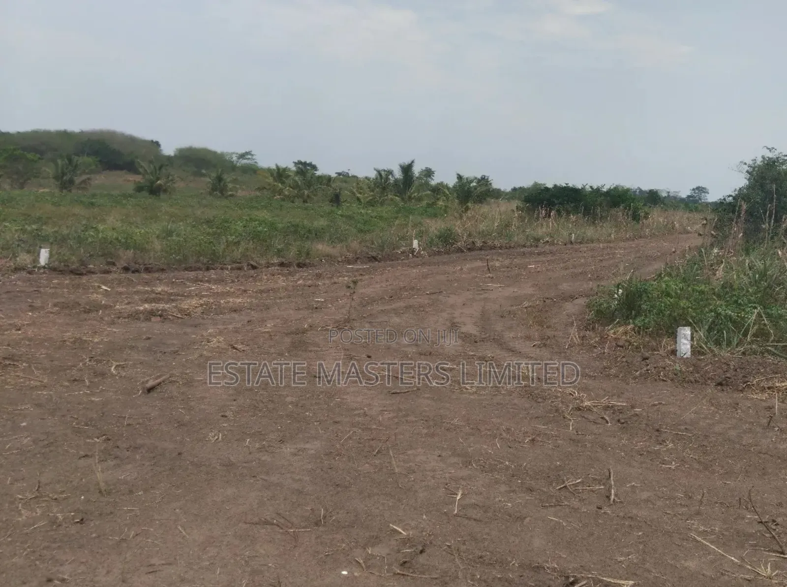 Invest Smartly, Buy Estate Land Now, Reap Later, Panfokrom