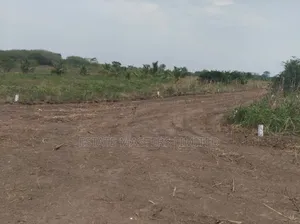 Invest Smartly, Buy Estate Land Now, Reap Later, Panfokrom