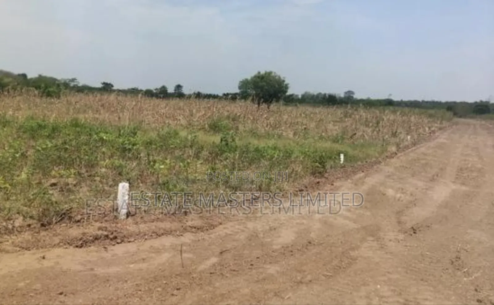Trust Us With Your Land Ownership Because We Are the Best